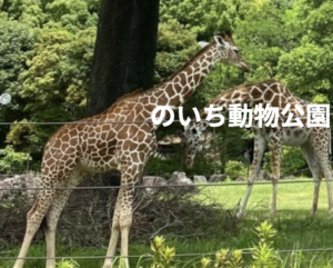 高知県立のいち動物公園